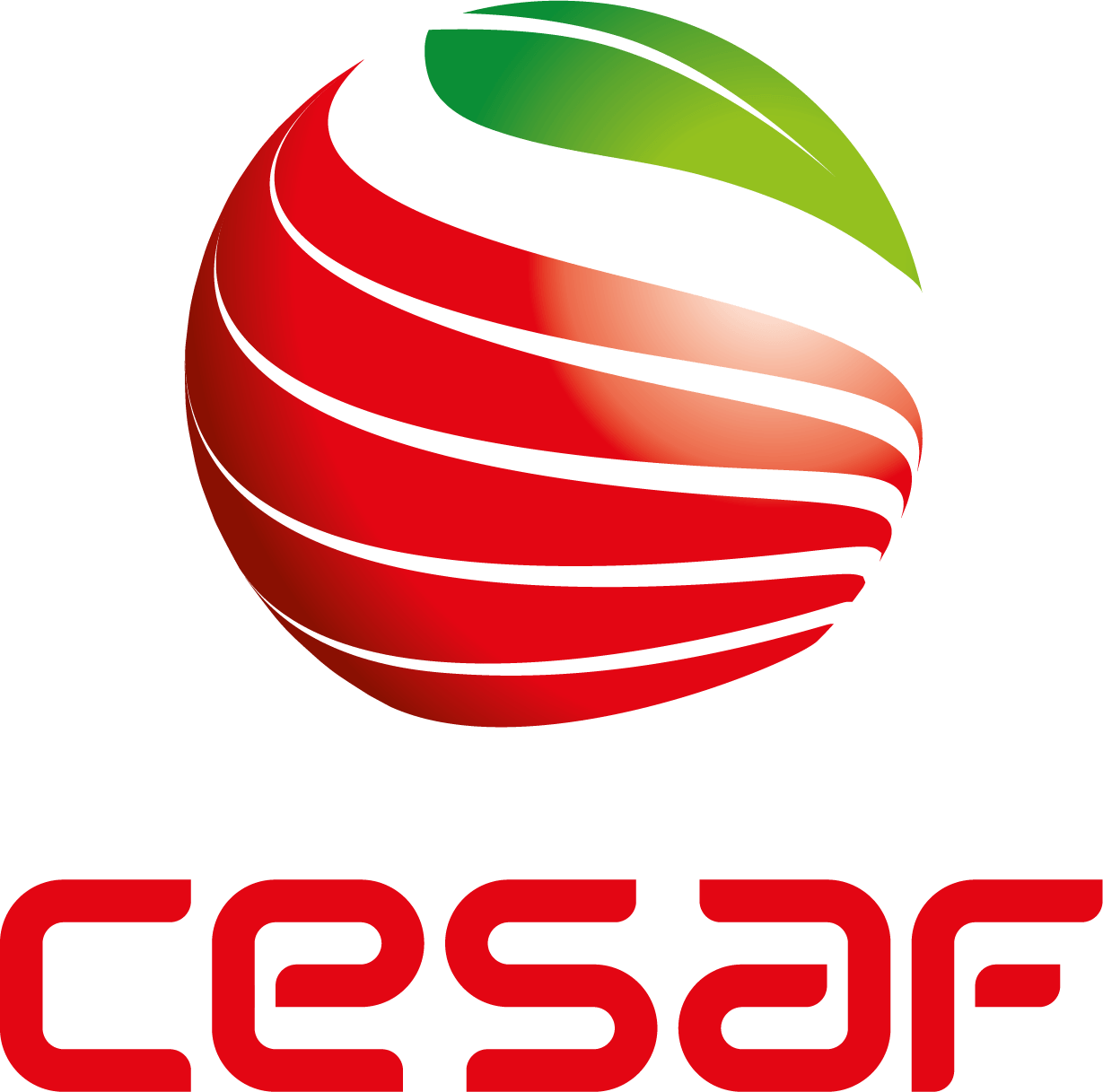 cesafsrl