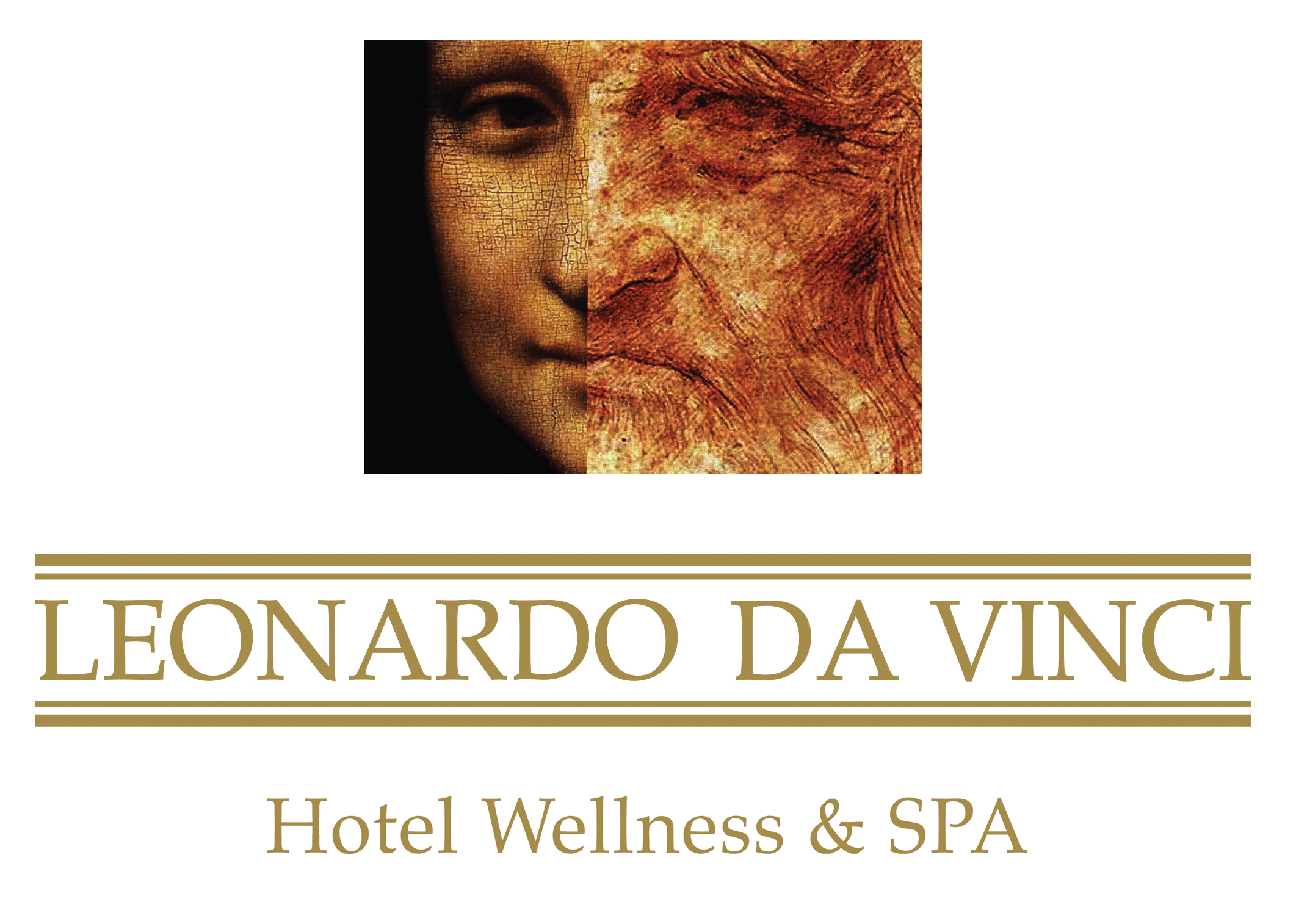 Logo Da Vinci